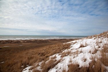 Similar image 1180305