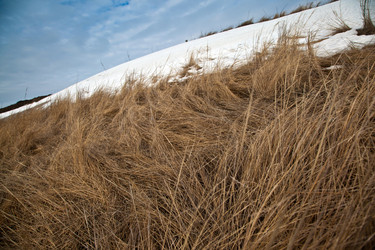 Similar image 1180306