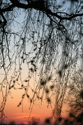 Similar image 1180333