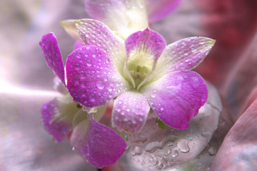 Similar image 1180336