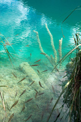 Similar image 1180341