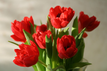 Similar image 1180350