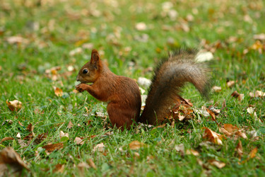 Similar image 1180351