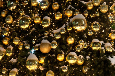 Similar image 1180354