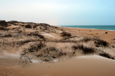 Similar image 1180358