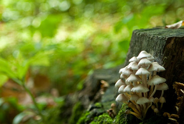 Similar image 1180361