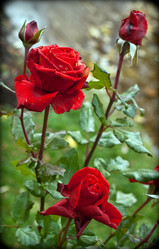 Similar image 1180402