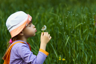 Similar image 1180407