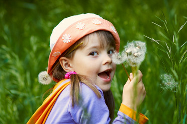 Similar image 1180415