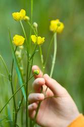 Similar image 1180420