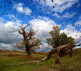 Similar image 1180447