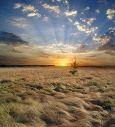 Similar image 1180450