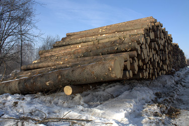 Similar image 1180491