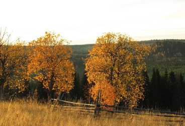 Similar image 1180568