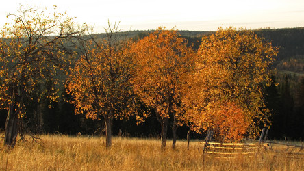 Similar image 1180569