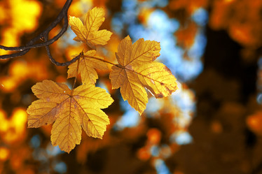 Similar image 1180676