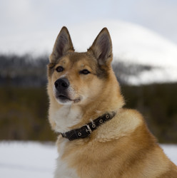 Similar image 1180699