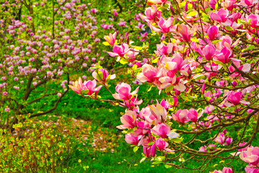 Similar image 1180706