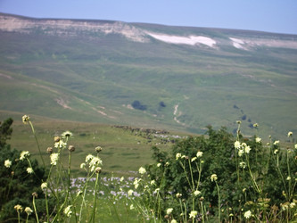 Similar image 1180722