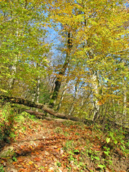 Similar image 1180744