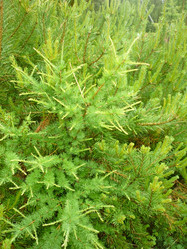 Similar image 1180745