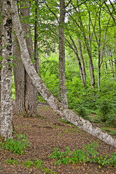 Similar image 1180746