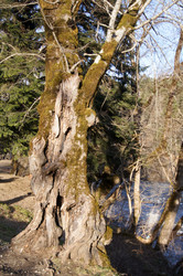 Similar image 1180747