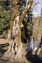 Similar image 1180761