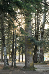 Similar image 1180762