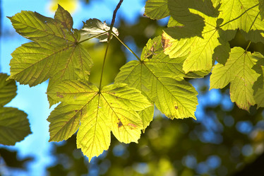 Similar image 1180765