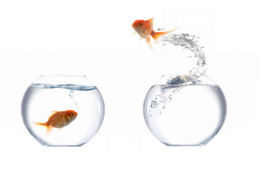 Similar image 1180775