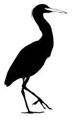 Similar image 1180810