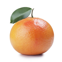 Similar image 1180856