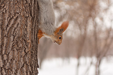 Similar image 1180873