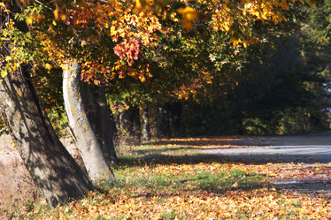 Similar image 1182989