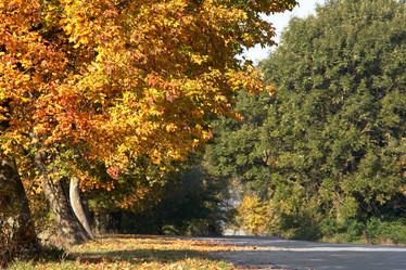 Similar image 1182992