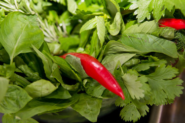 Similar image 1184135