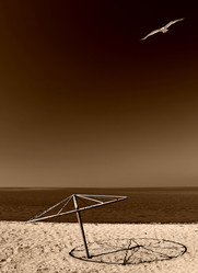 Similar image 1184142