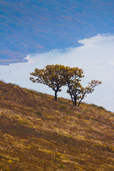 Similar image 1184427