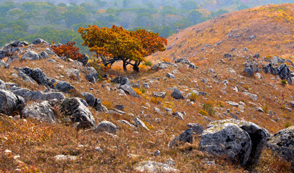 Similar image 1184433