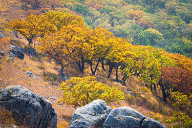 Similar image 1184436