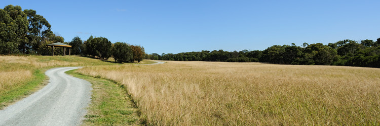 Similar image 1185082