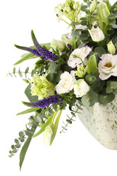 Similar image 1185091