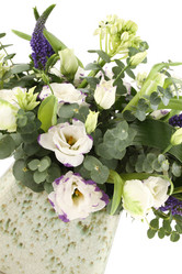 Similar image 1185092