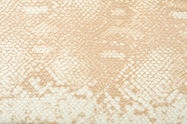 Similar image 1185297