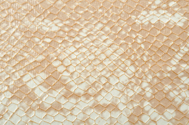 Similar image 1185300