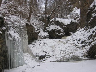 Similar image 1185341