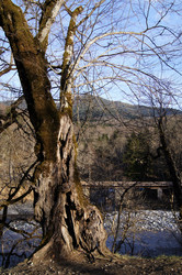 Similar image 1185346