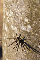 Similar image 1185386