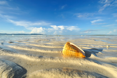 Similar image 1185570